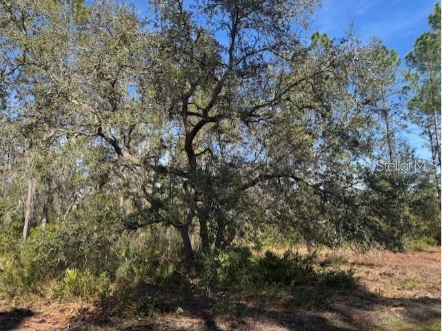 NE 150th Ave Road #LOT 1 Fort Mc Coy FL 32134 OM699895 image6