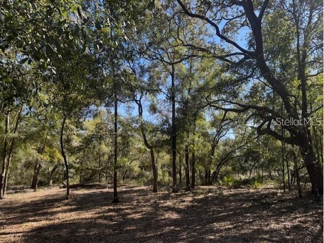 NE 150th Ave Road #LOT 1 Fort Mc Coy FL 32134 OM699895 image8