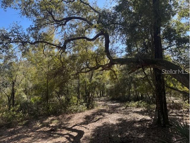 NE 150th Ave Road #LOT 1 Fort Mc Coy FL 32134 OM699895 image9