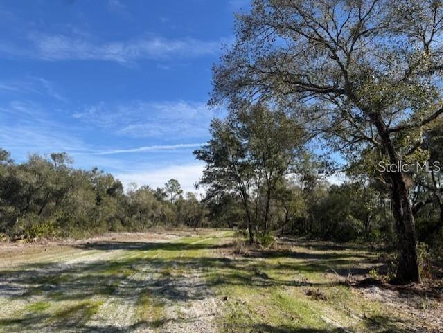 NE 150th Ave Road #LOT 2 Fort Mc Coy FL 32134 OM699898 image1