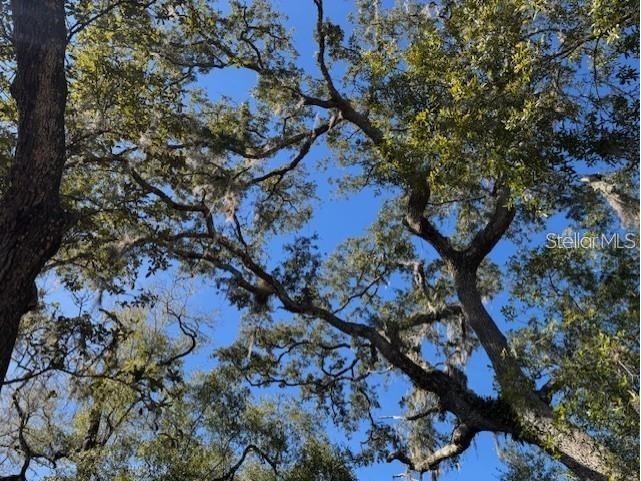 NE 150th Ave Road #LOT 3 Fort Mc Coy FL 32134 OM699899 image14