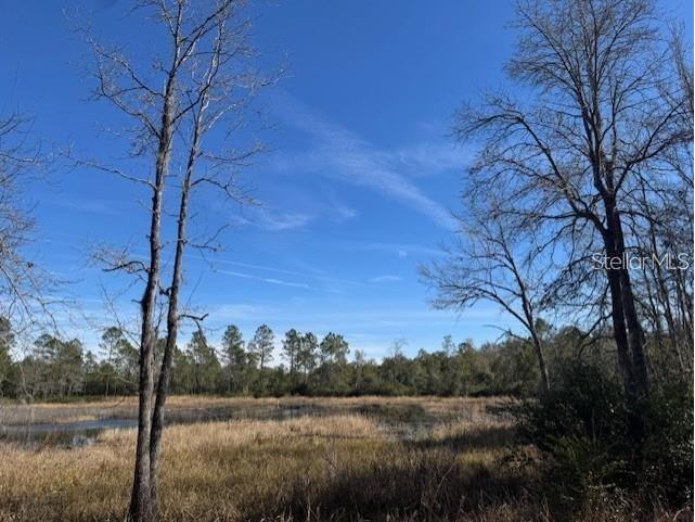 NE 150th Ave Road #LOT 3 Fort Mc Coy FL 32134 OM699899 image16