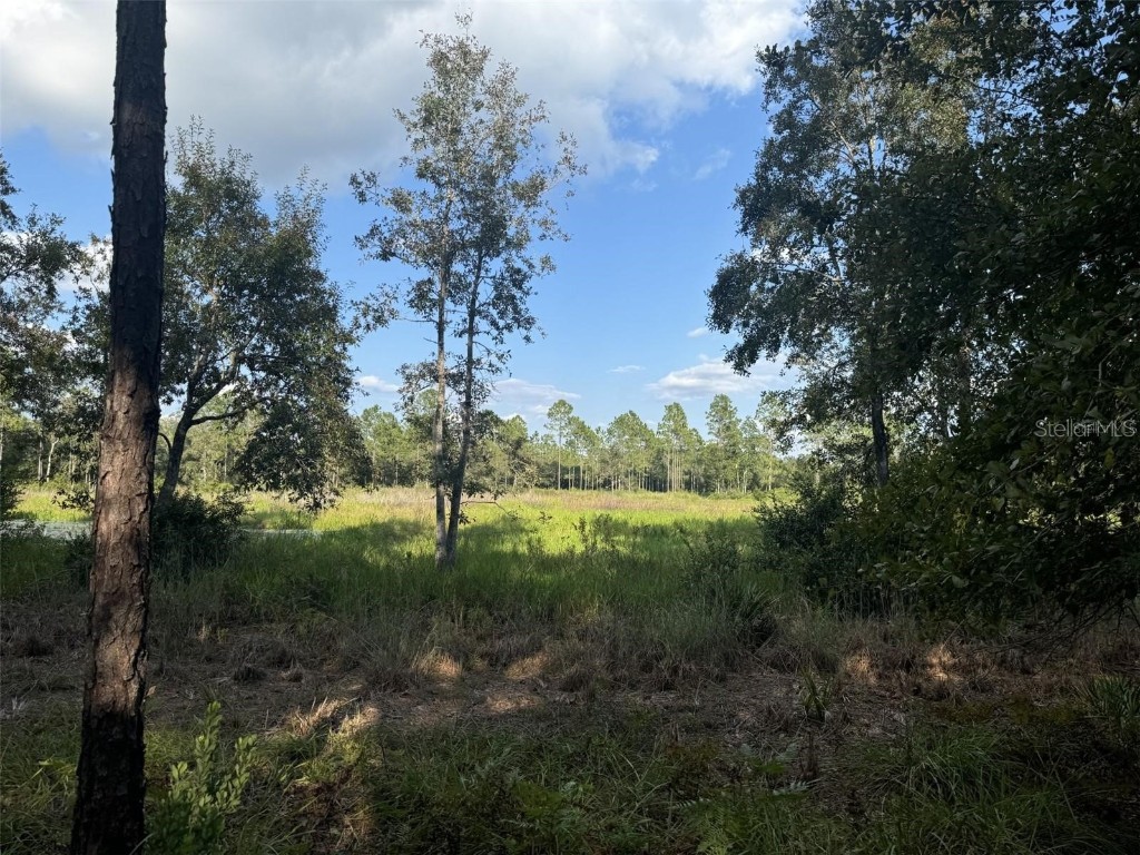 NE 150th Ave Road #LOT 3 Fort Mc Coy FL 32134 OM699899 image19