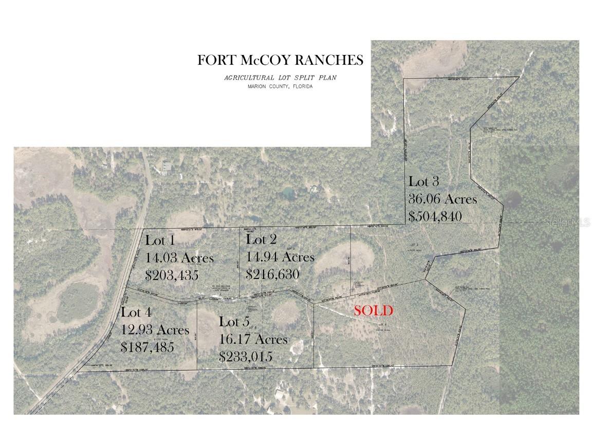 NE 150th Ave Road #LOT 3 Fort Mc Coy FL 32134 OM699899 image2
