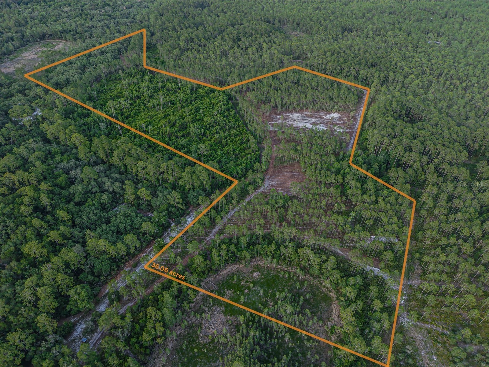 NE 150th Ave Road #LOT 3 Fort Mc Coy FL 32134 OM699899 image22