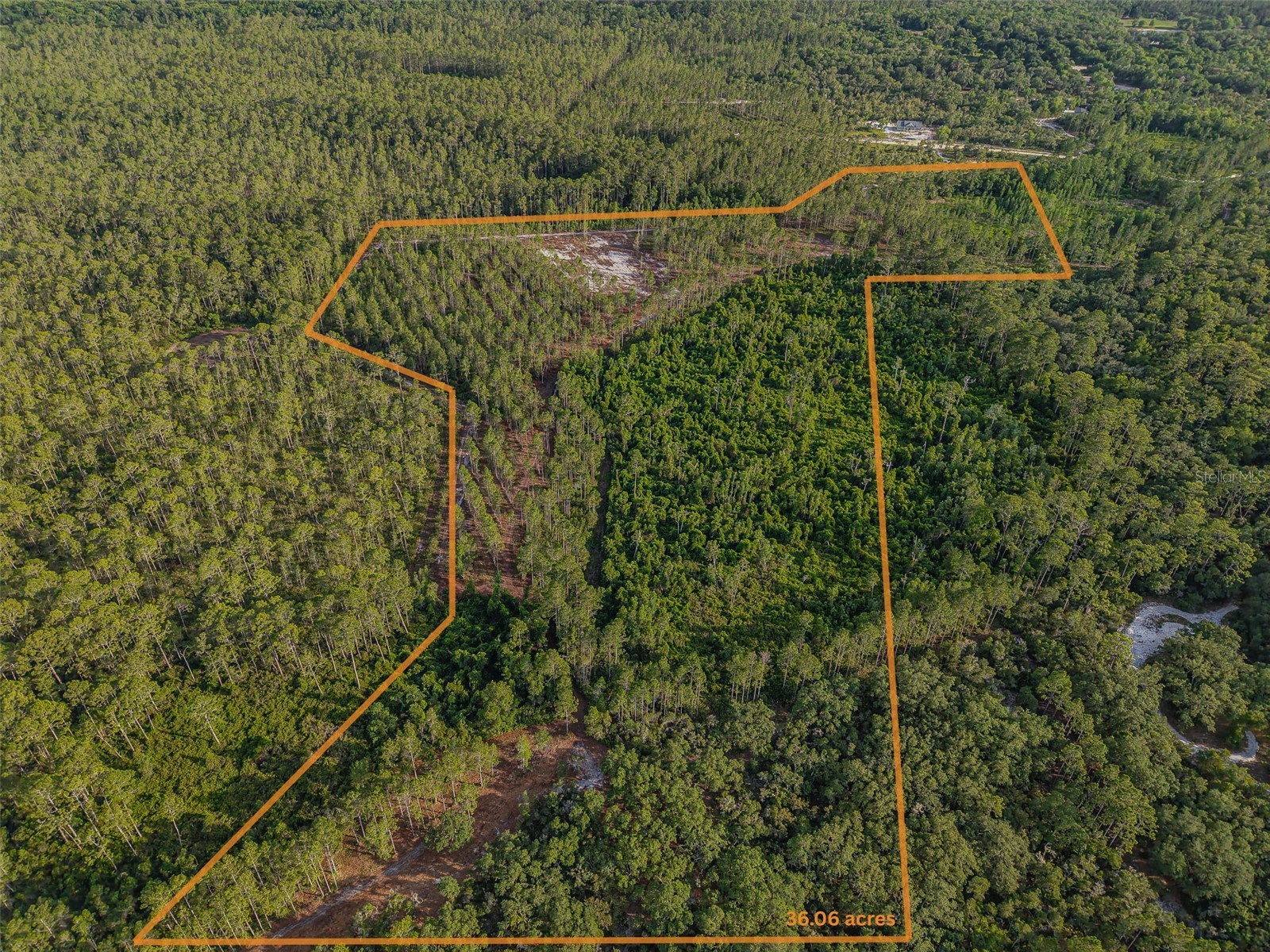 NE 150th Ave Road #LOT 3 Fort Mc Coy FL 32134 OM699899 image23