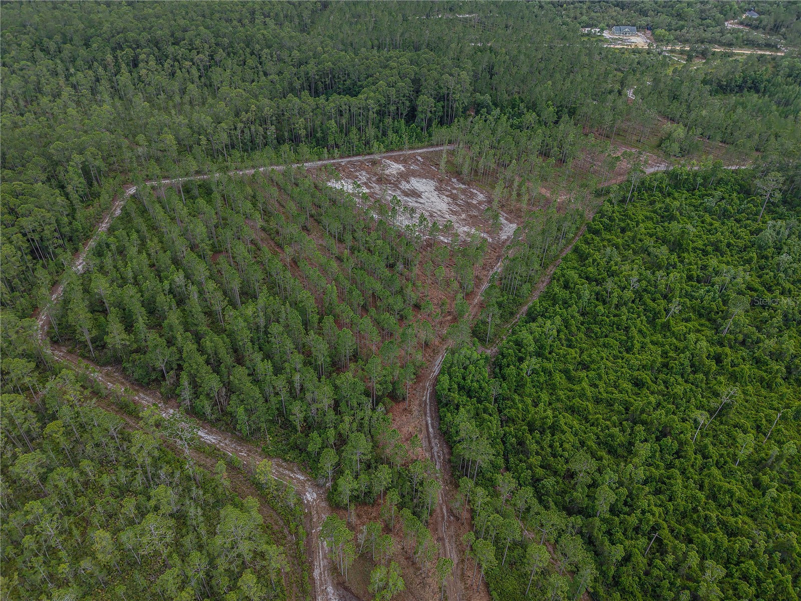 NE 150th Ave Road #LOT 3 Fort Mc Coy FL 32134 OM699899 image24