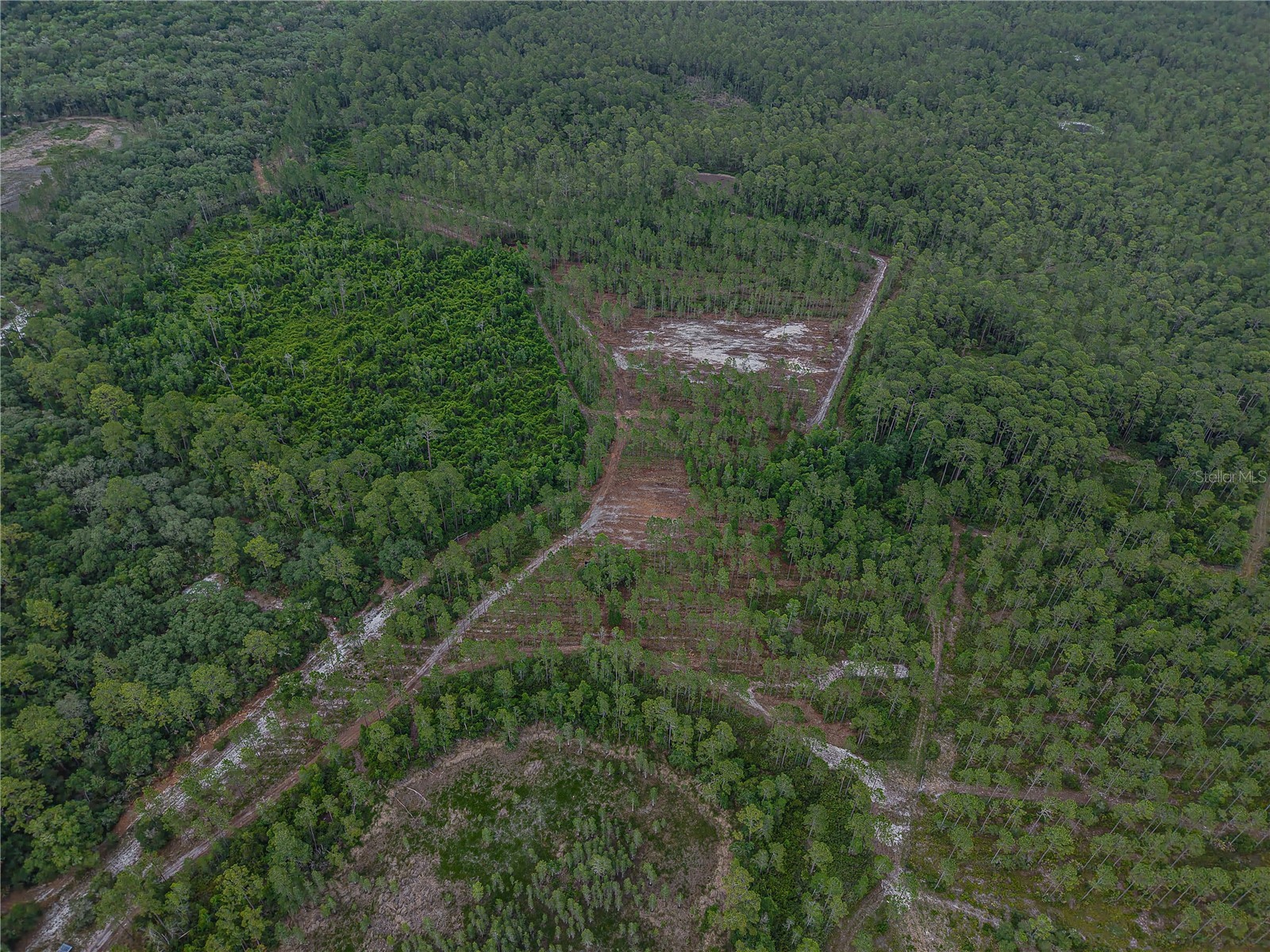 NE 150th Ave Road #LOT 3 Fort Mc Coy FL 32134 OM699899 image25