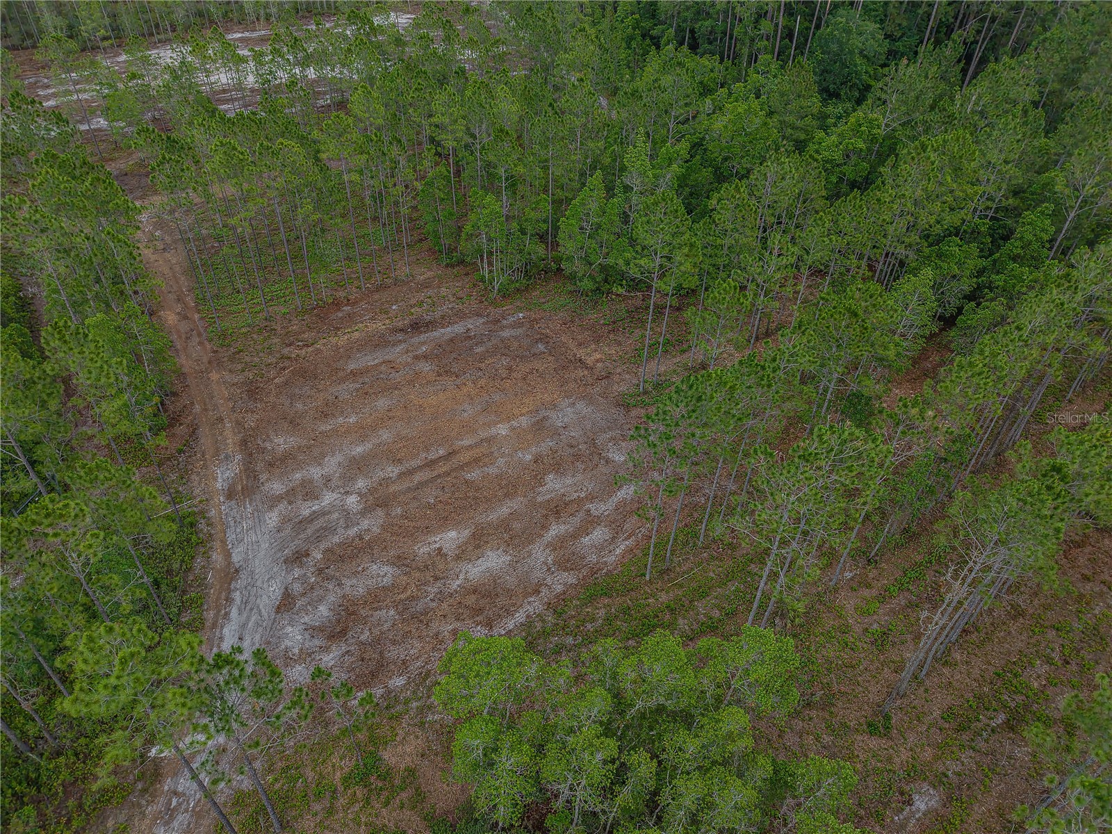 NE 150th Ave Road #LOT 3 Fort Mc Coy FL 32134 OM699899 image26