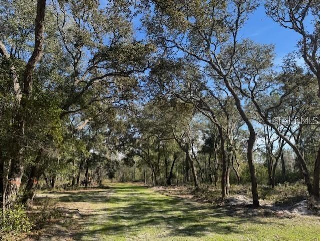 NE 150th Ave Road #LOT 3 Fort Mc Coy FL 32134 OM699899 image3