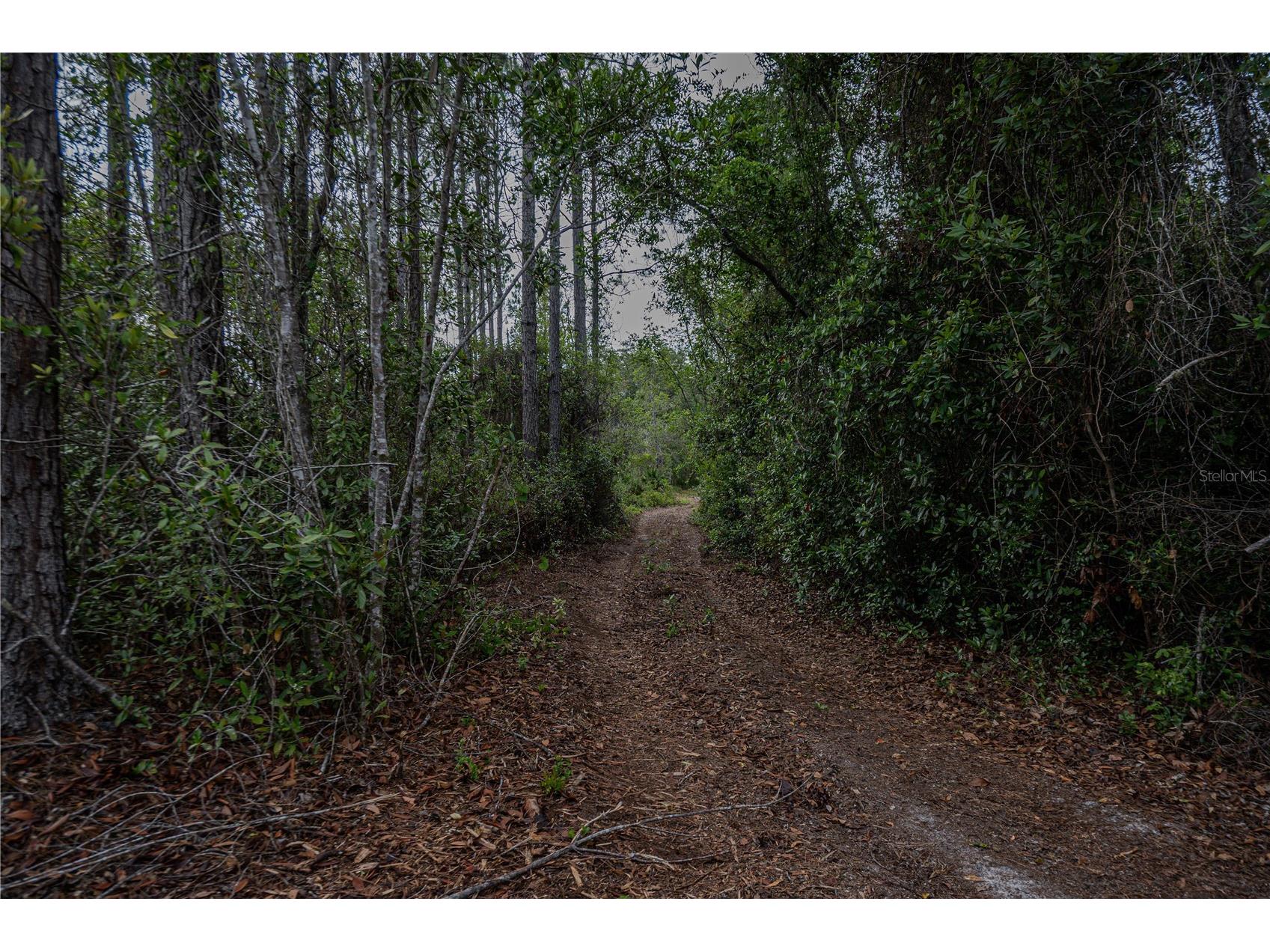 NE 150th Ave Road #LOT 3 Fort Mc Coy FL 32134 OM699899 image36