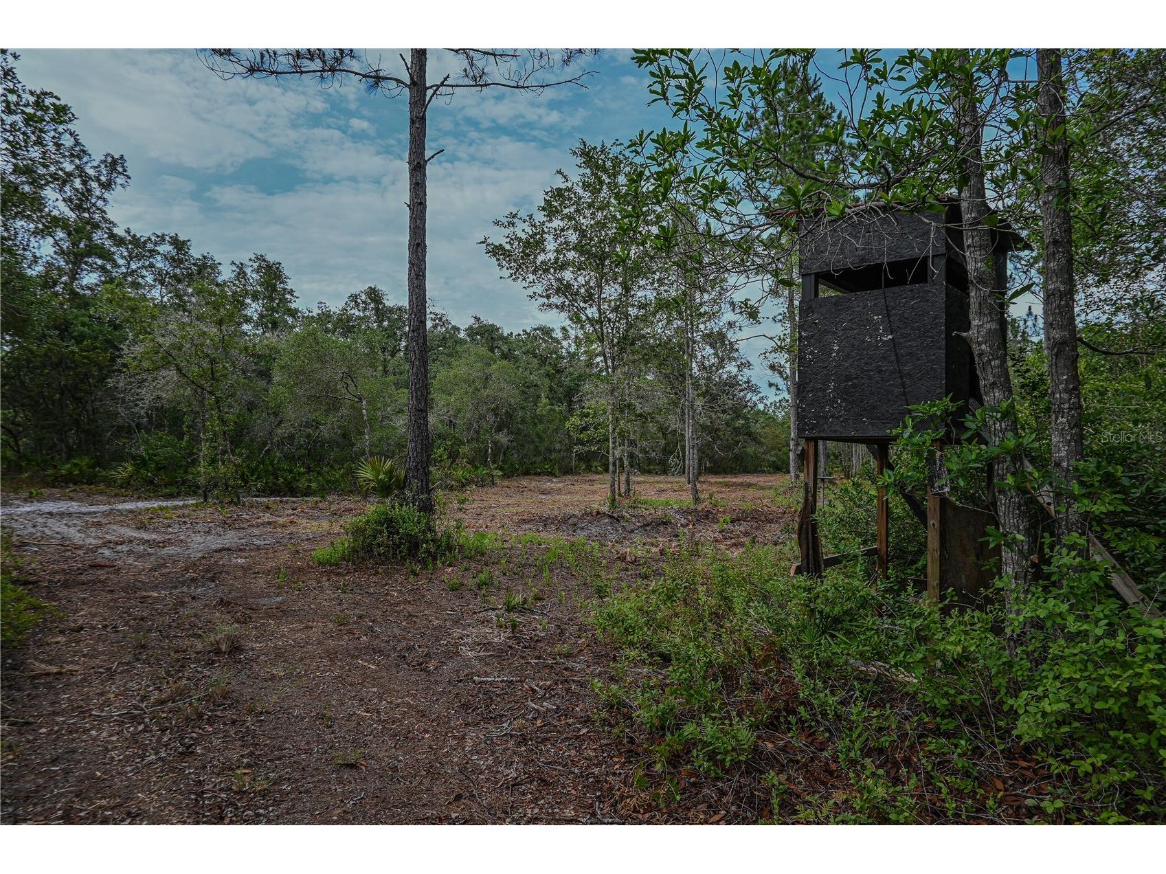 NE 150th Ave Road #LOT 3 Fort Mc Coy FL 32134 OM699899 image38