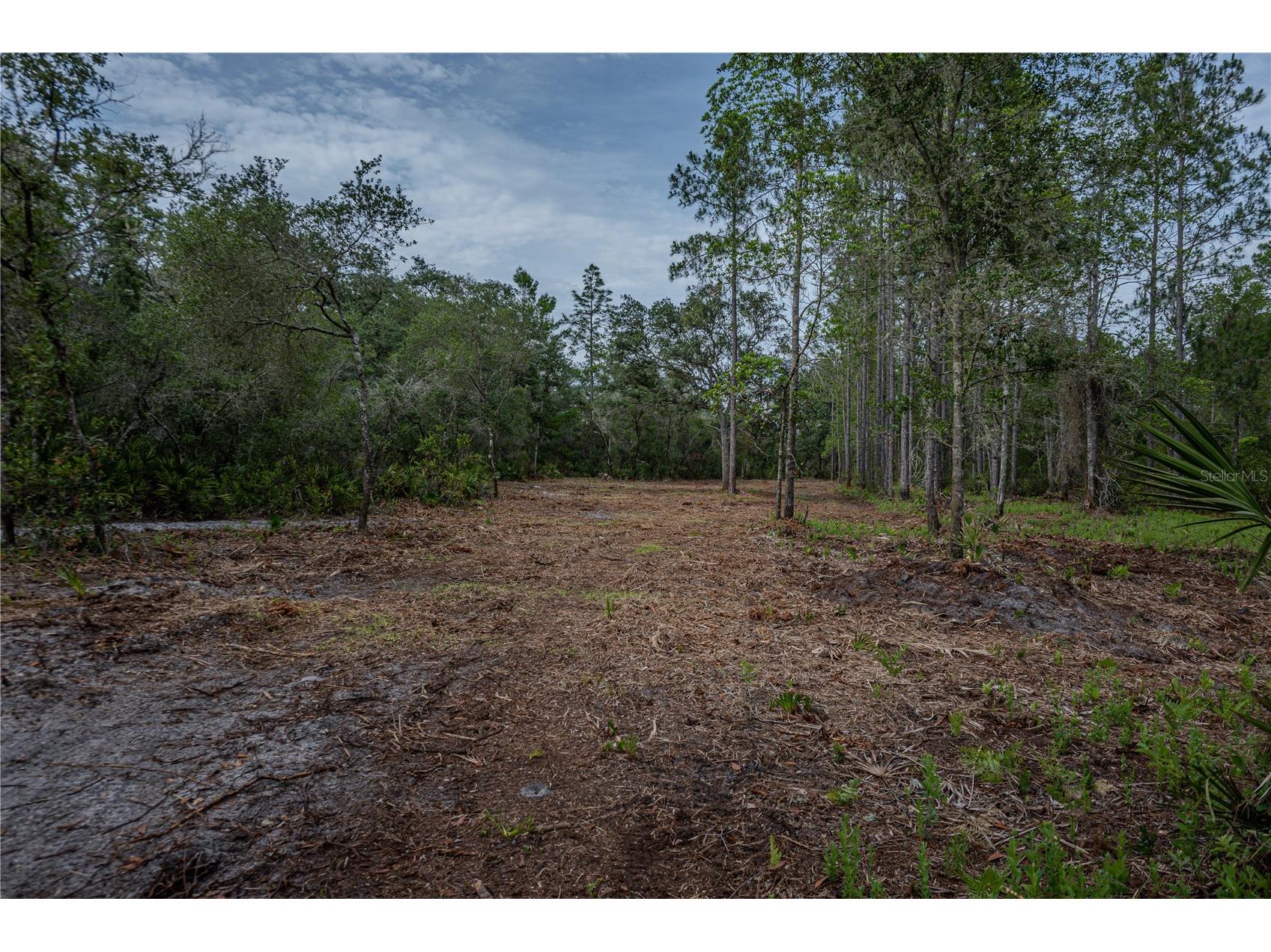 NE 150th Ave Road #LOT 3 Fort Mc Coy FL 32134 OM699899 image39