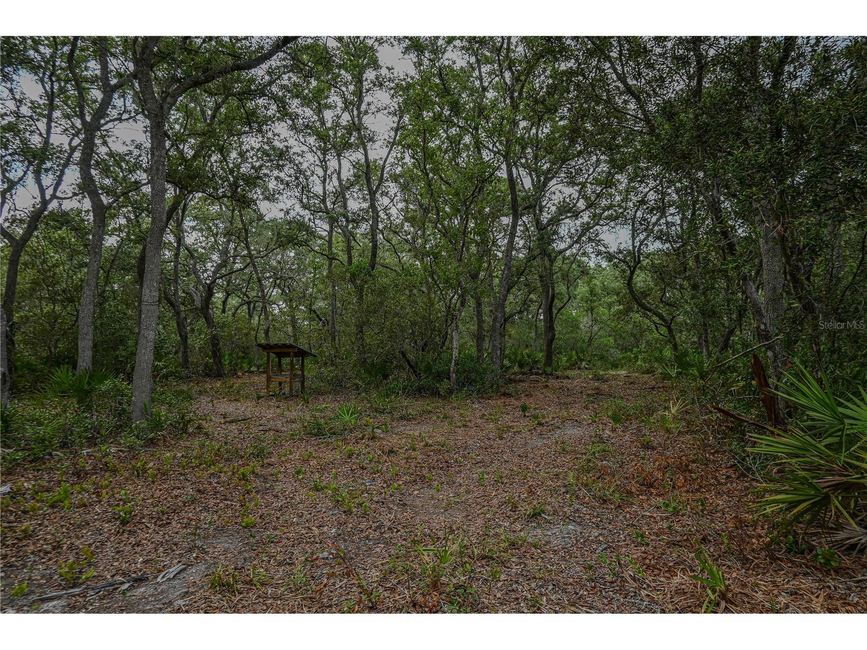 NE 150th Ave Road #LOT 3 Fort Mc Coy FL 32134 OM699899 image40