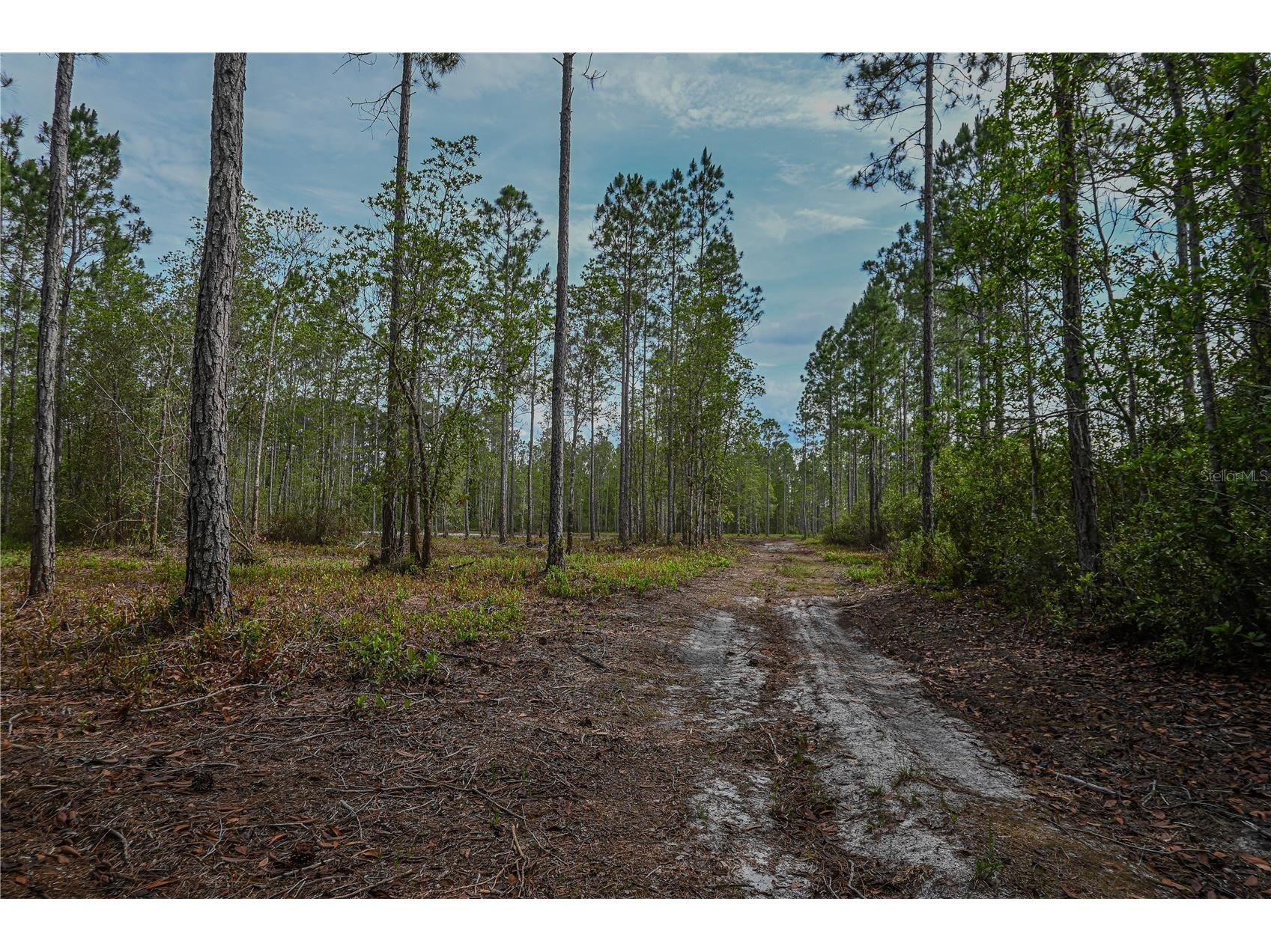 NE 150th Ave Road #LOT 3 Fort Mc Coy FL 32134 OM699899 image42