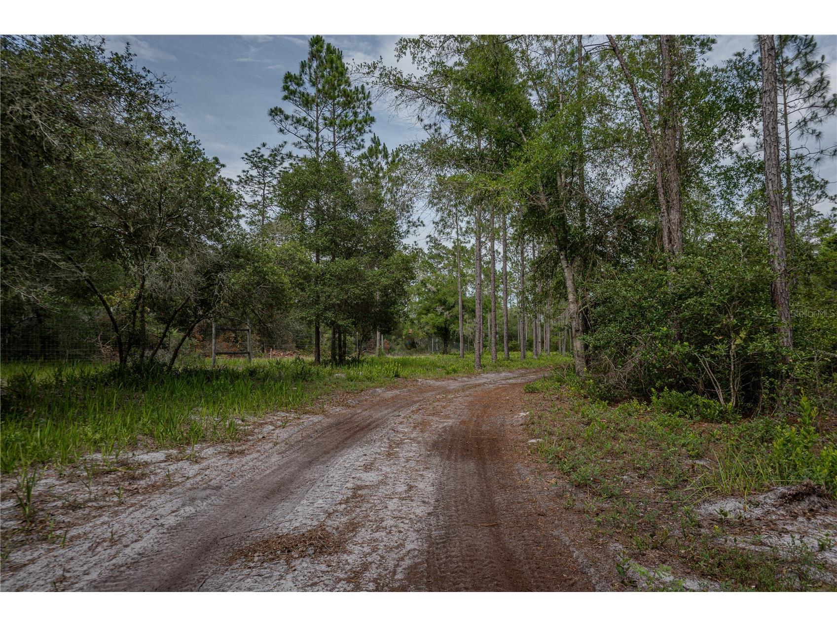NE 150th Ave Road #LOT 3 Fort Mc Coy FL 32134 OM699899 image44