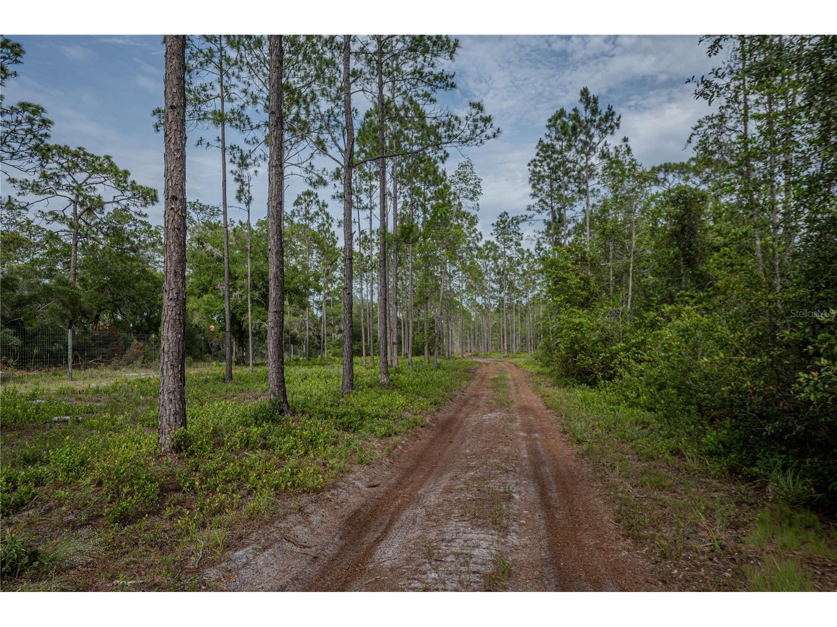 NE 150th Ave Road #LOT 3 Fort Mc Coy FL 32134 OM699899 image45