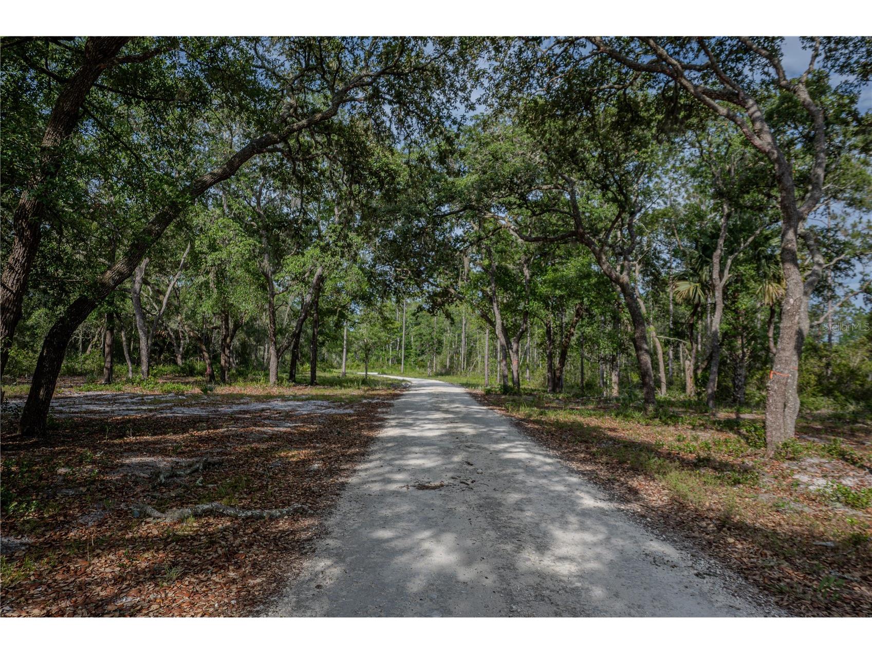 NE 150th Ave Road #LOT 3 Fort Mc Coy FL 32134 OM699899 image48
