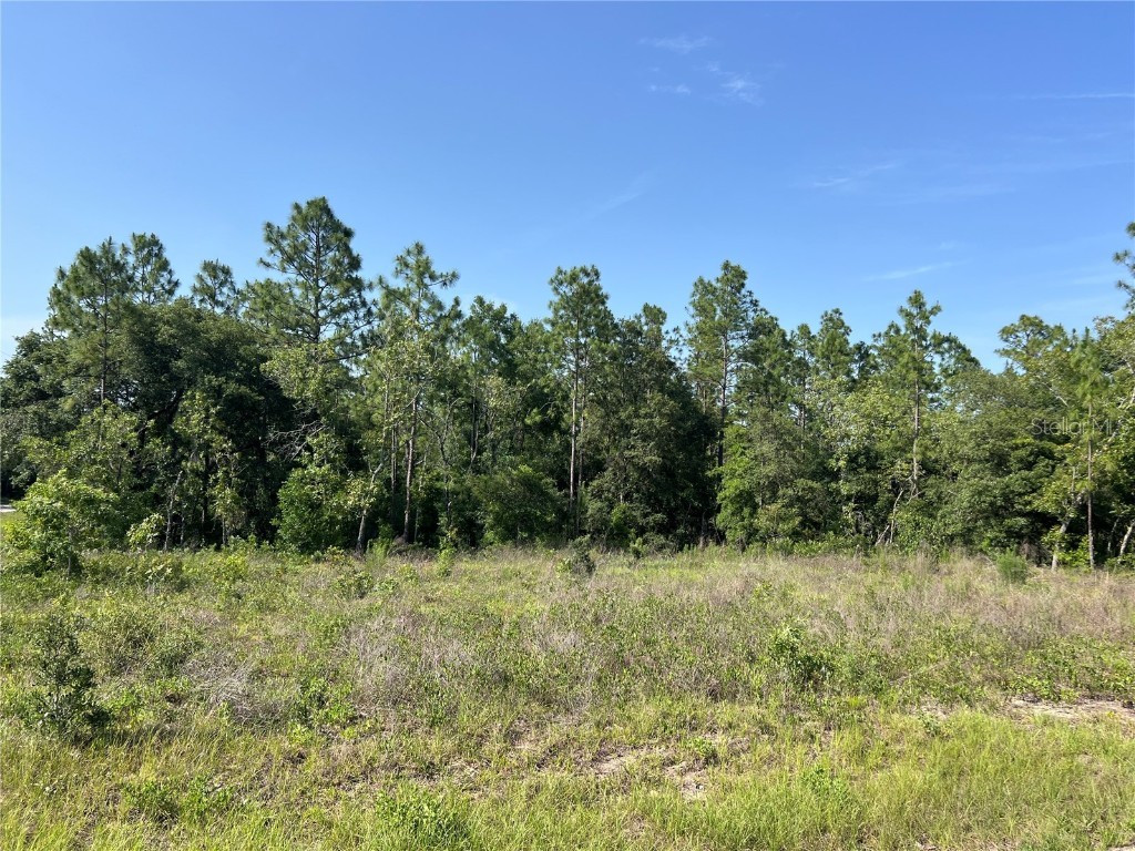 NE 150th Avenue Williston FL 32696 G5097298 image1