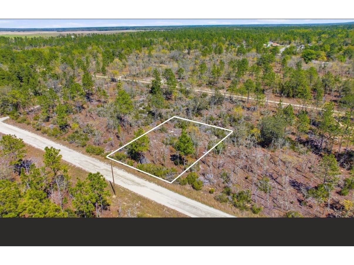 NE 150th Avenue Williston FL 32696 O6373562 image1