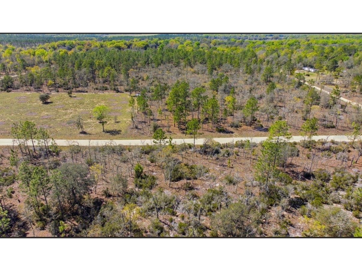 NE 150th Avenue Williston FL 32696 O6373562 image5