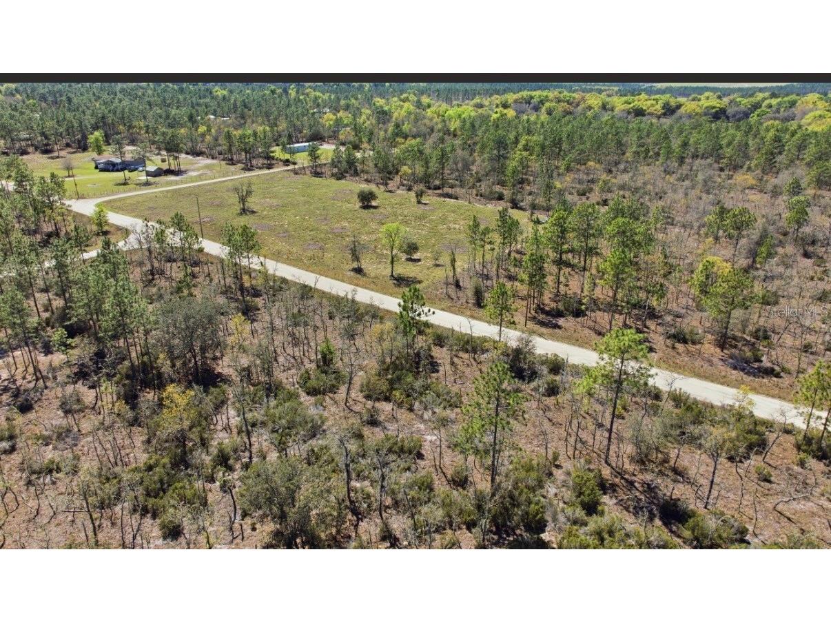 NE 150th Avenue Williston FL 32696 O6373562 image6