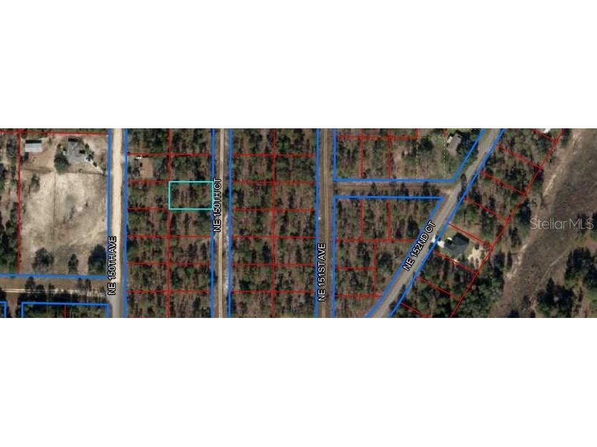 Ne 150th Court #8 Williston FL 32696 OM712392 image1