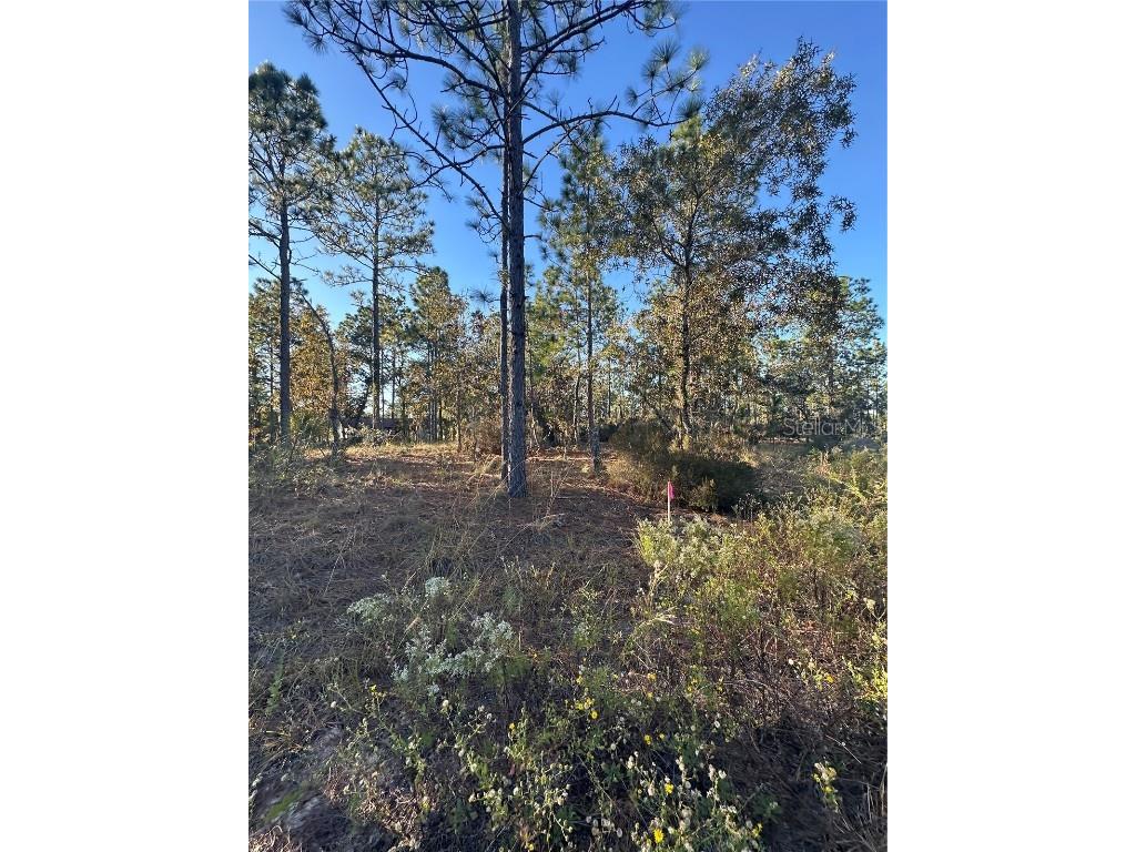 Ne 150th Court #8 Williston FL 32696 OM712392 image10