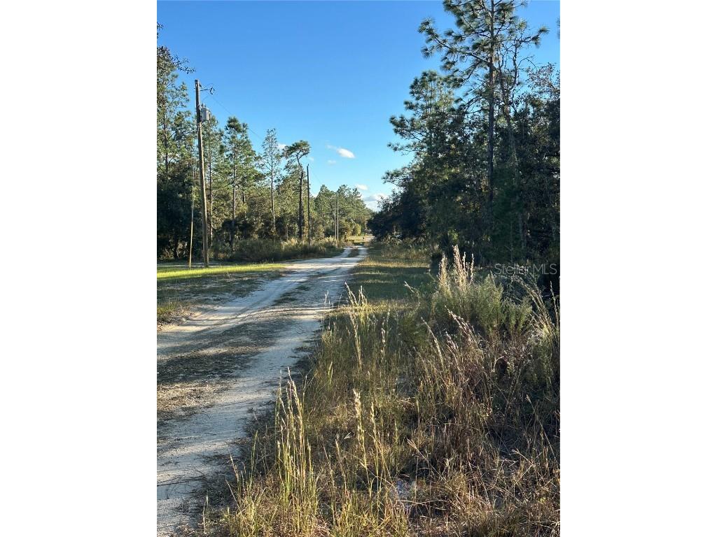 Ne 150th Court #8 Williston FL 32696 OM712392 image11