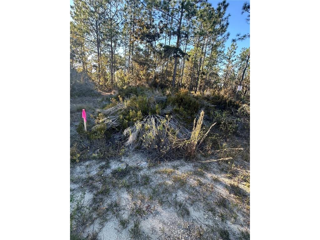 Ne 150th Court #8 Williston FL 32696 OM712392 image13