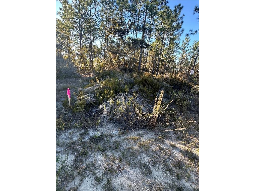 Ne 150th Court #8 Williston FL 32696 OM712392 image14