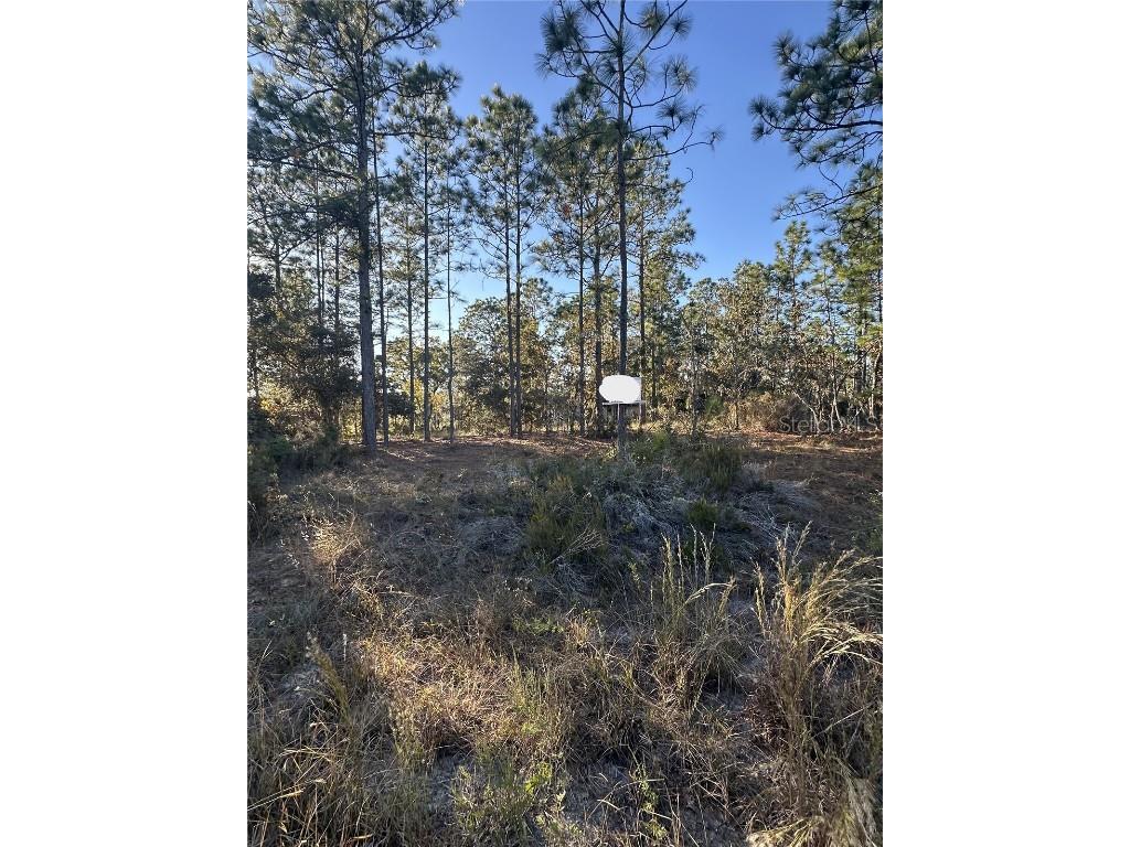 Ne 150th Court #8 Williston FL 32696 OM712392 image3