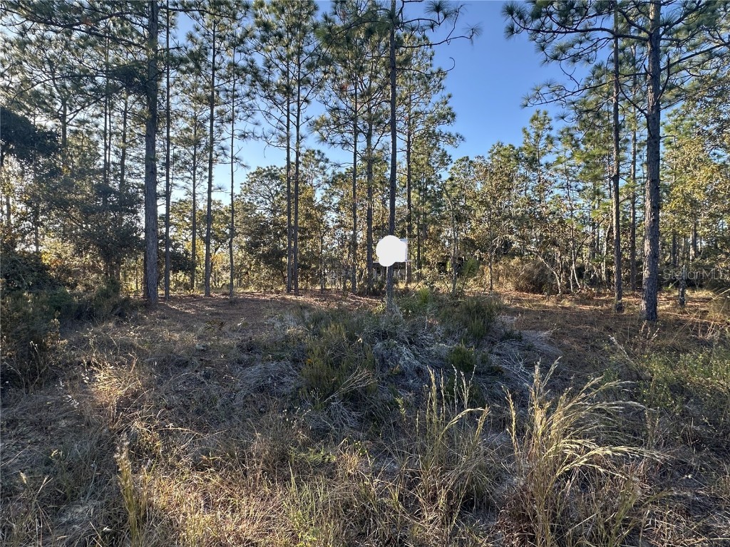 Ne 150th Court #8 Williston FL 32696 OM712392 image4