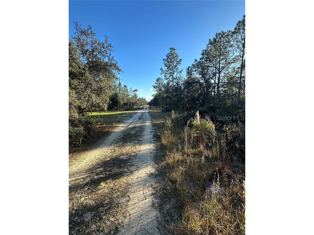 Ne 150th Court #8 Williston FL 32696 OM712392 image6