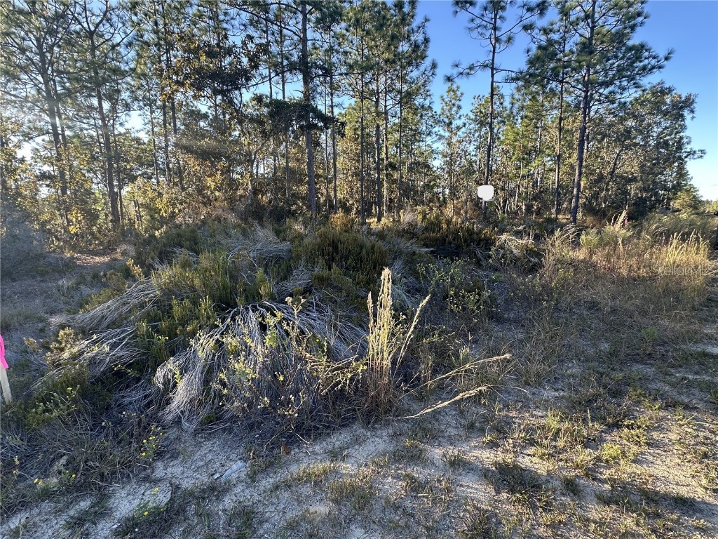 Ne 150th Court #8 Williston FL 32696 OM712392 image8