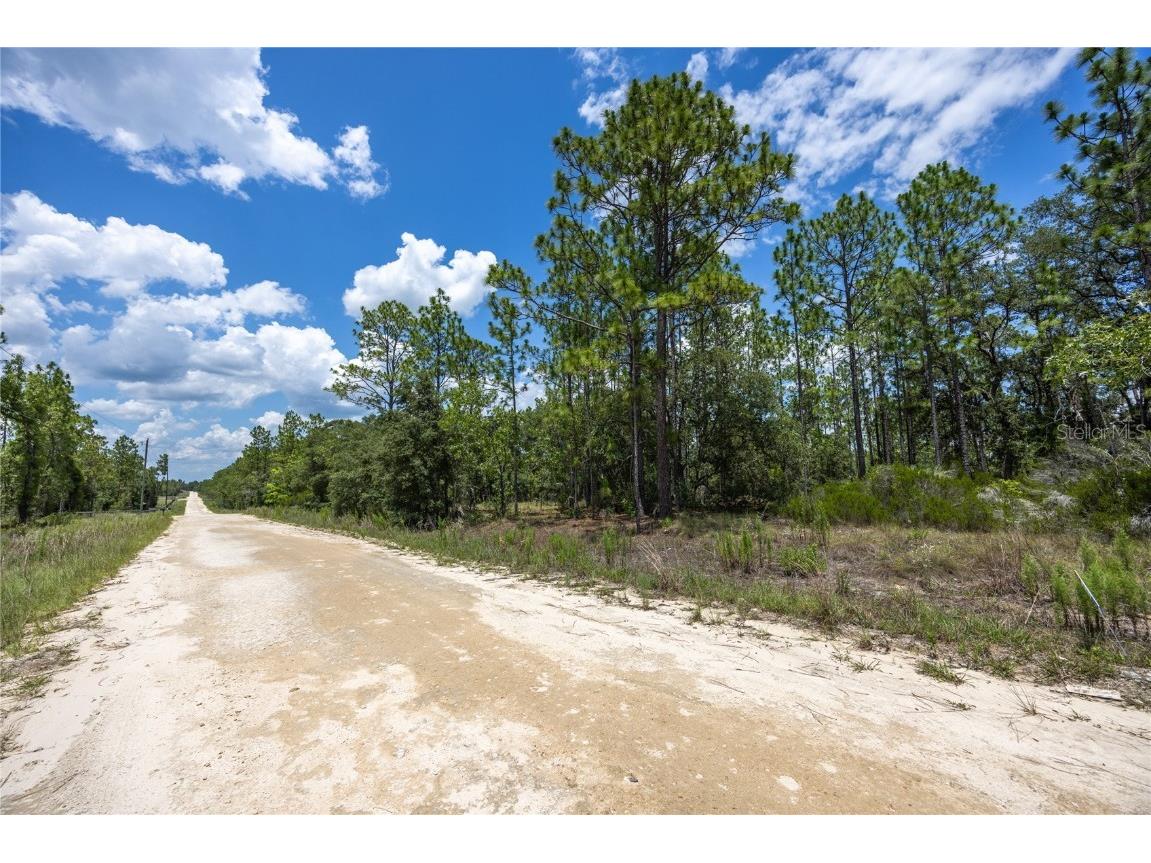 NE 150th Court Williston FL 32696 GC531765 image1