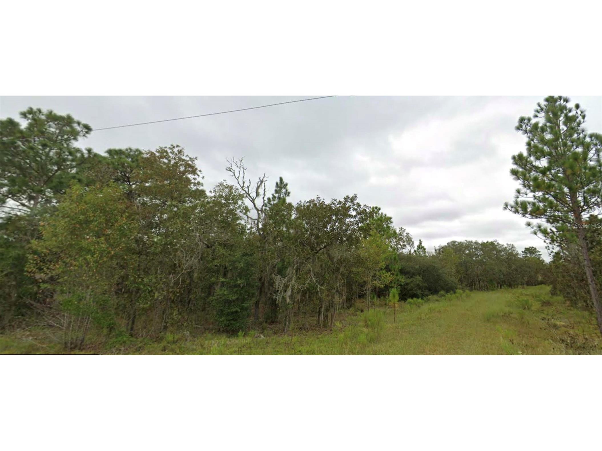 NE 151 Terrace Williston FL 32696 O6353247 image1
