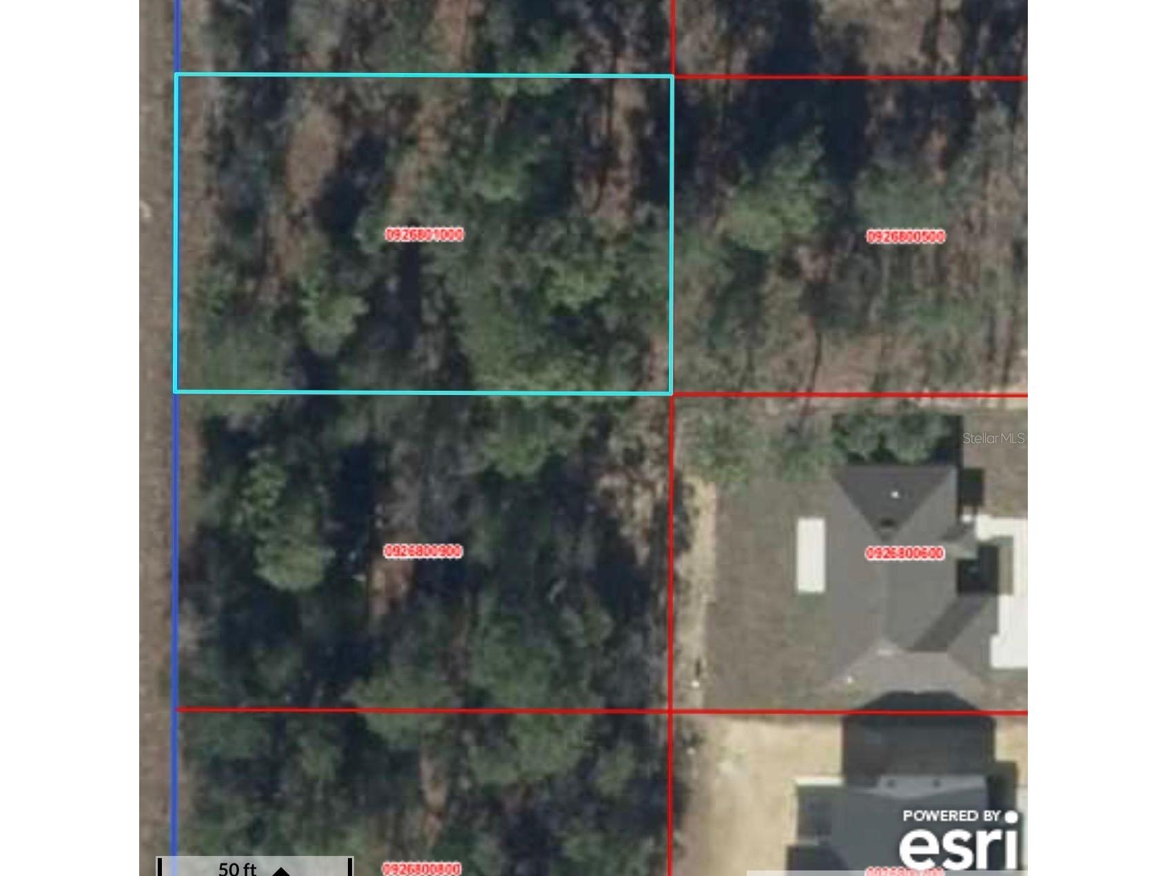 Ne 151st Ave Williston FL 32696 S5145970 image3