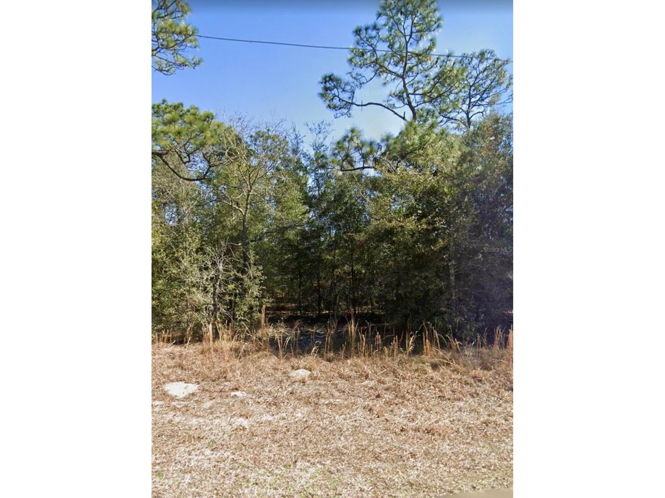 Ne 151st Ave Williston FL 32696 S5145970 image4