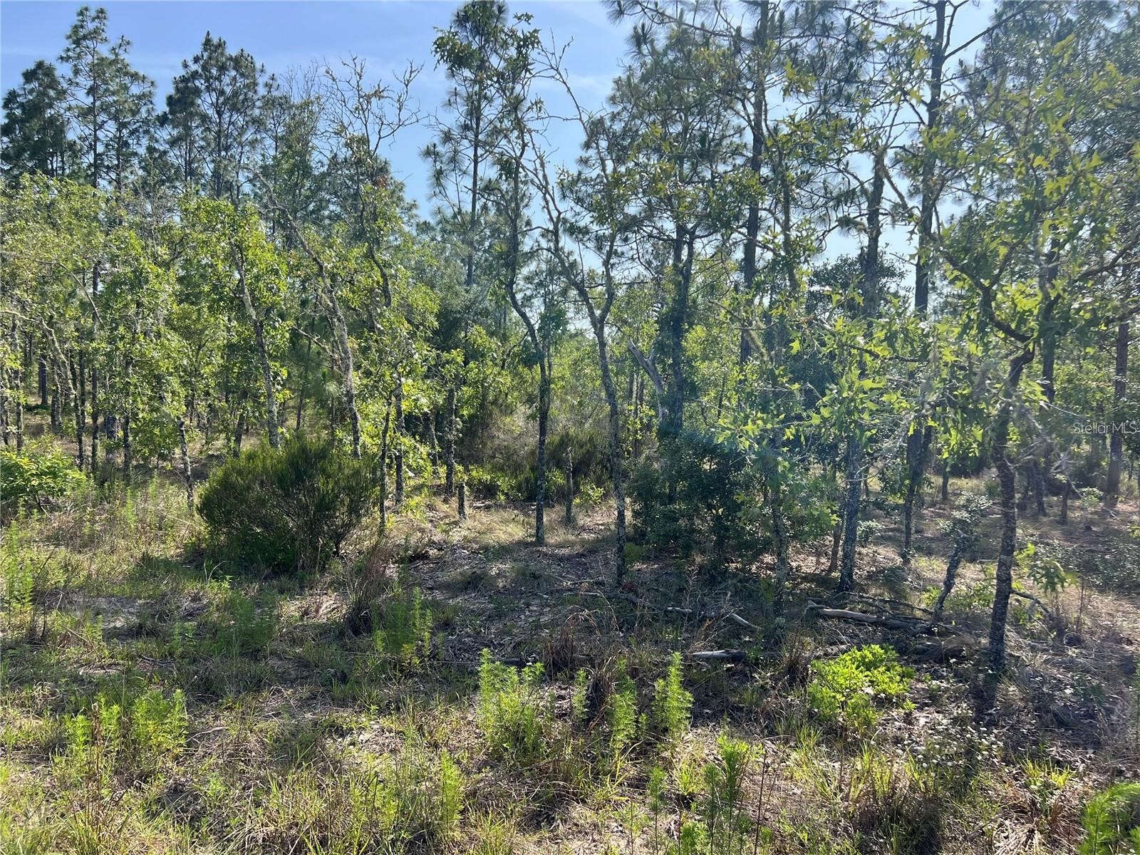 NE 151st Avenue Williston FL 32696 G5112144 image1