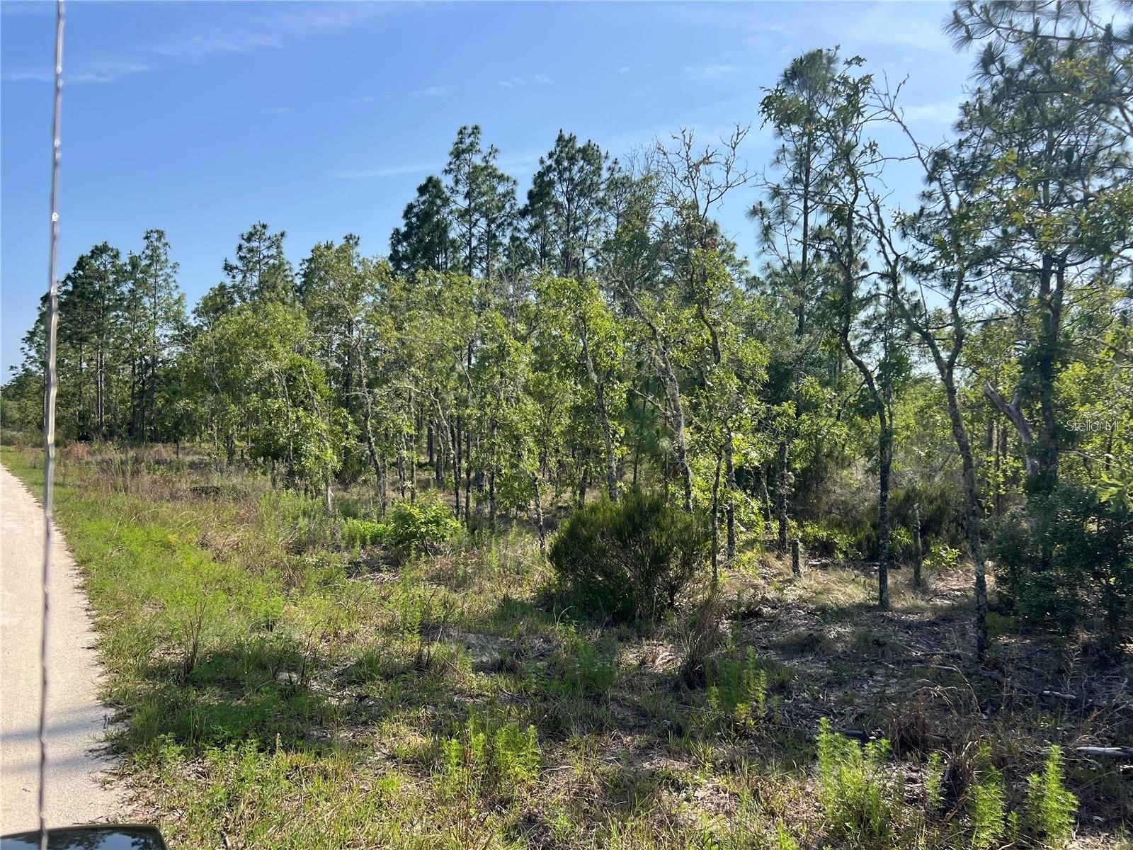 NE 151st Avenue Williston FL 32696 G5112144 image2