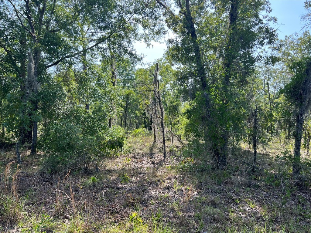 NE 152nd Ct Williston FL 32696 G5097296 image1