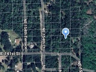 NE 153rd Court Fort Mc Coy FL 32134 OM697762 image1