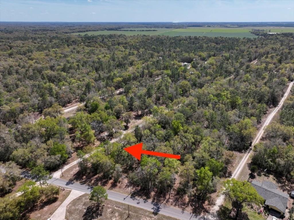 NE 154 Terrace Williston FL 32696 O6367696 image10