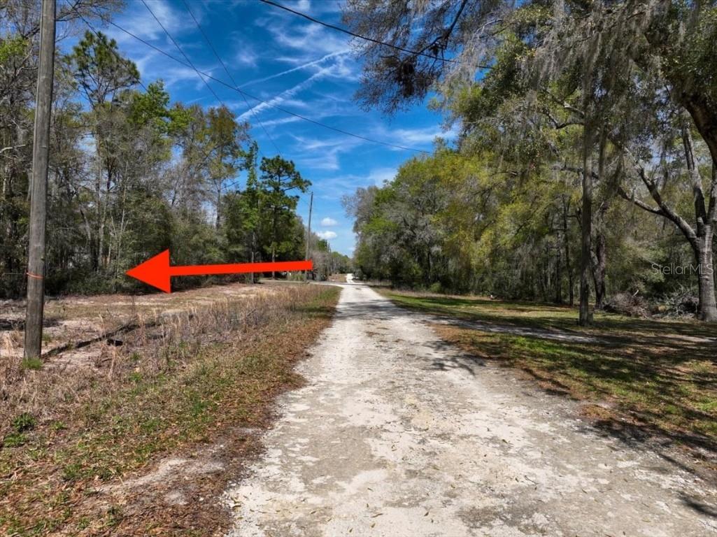 NE 154 Terrace Williston FL 32696 O6367696 image15