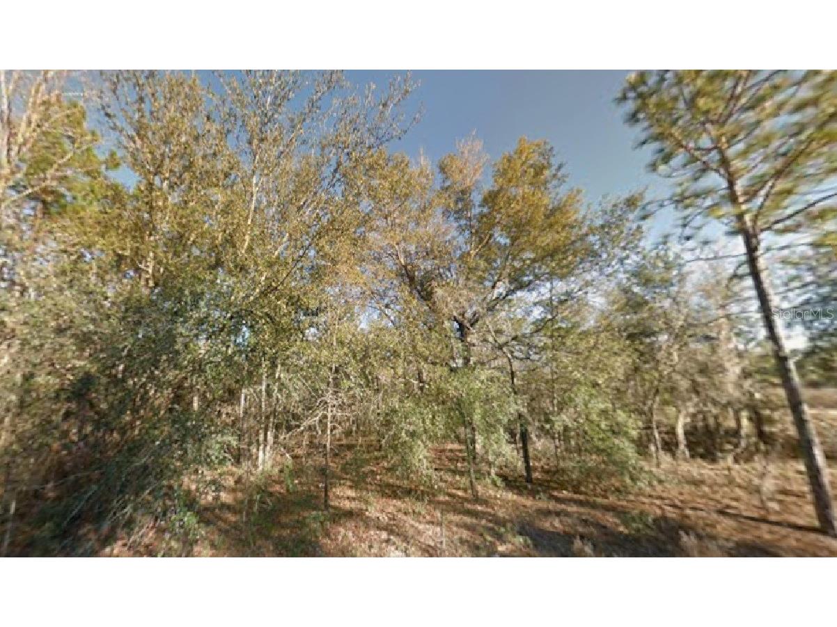 NE 154th Avenue Williston FL 32696 R4910639 image1
