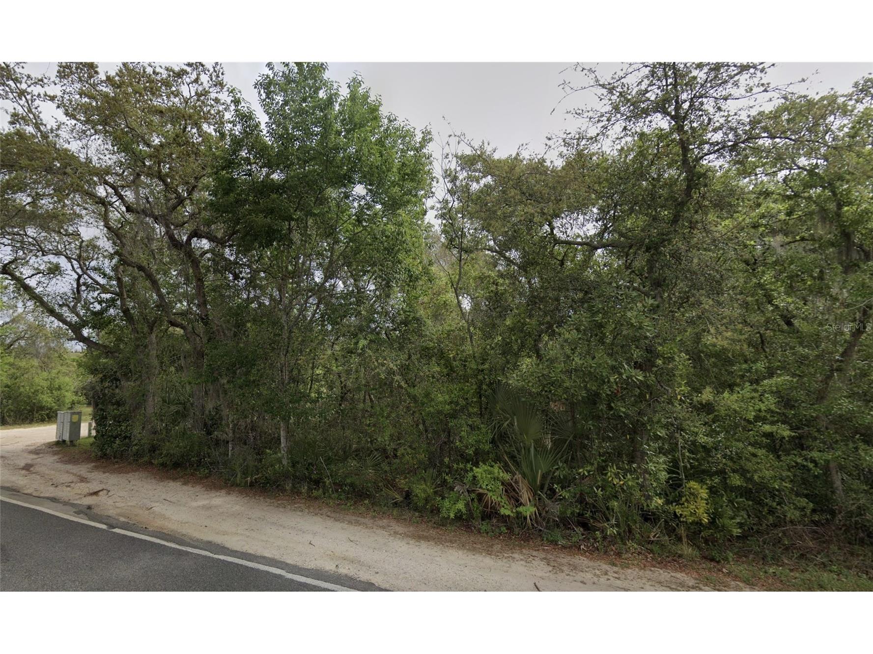NE 154th Place Fort Mc Coy FL 32134 TB8501171 image1