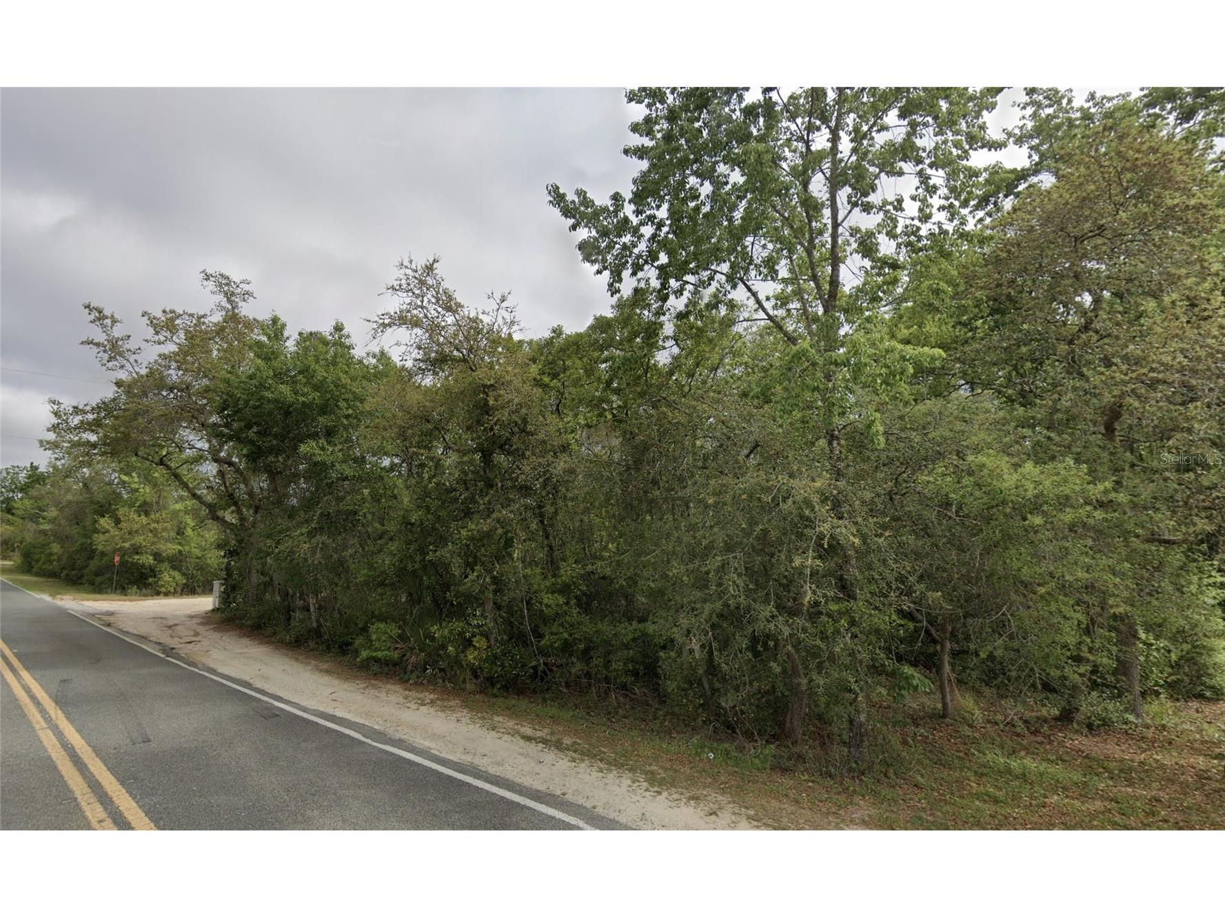 NE 154th Place Fort Mc Coy FL 32134 TB8501171 image4