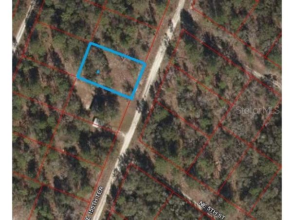 NE 155 Terrace Williston FL 32696 O6029737 image1