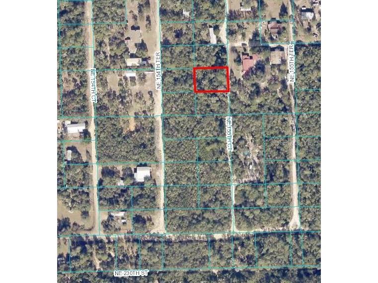 NE 155th Court Fort Mc Coy FL 32134 OM659667 image1